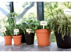 Elho Anzuchttopf Green Basics Ø 11 cm living schwarz