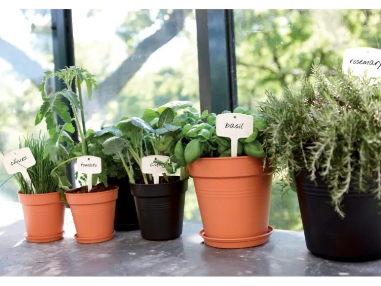 Elho Anzuchttopf Green Basics Ø 30 cm living schwarz
