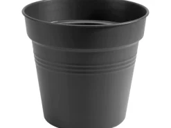 Elho Anzuchttopf Green Basics Ø 17 cm living schwarz