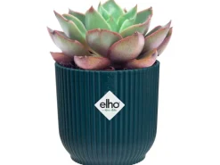 Elho Blumentopf Mini Vibes  Ø11 cm Tiefes Blau