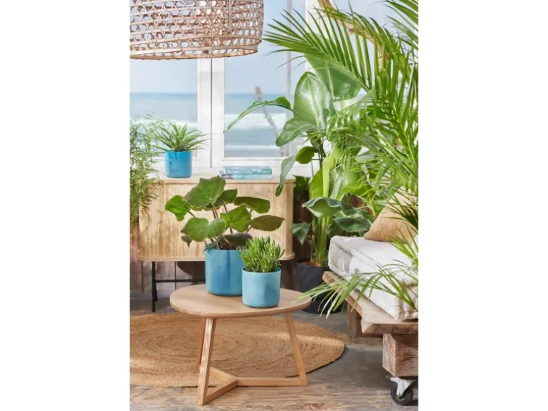 Elho Blumentopf Ocean Collection Ø 16 cm Atlantikblau