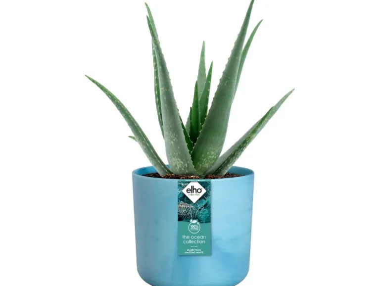 Elho Blumentopf Ocean Collection Ø 16 cm Atlantikblau