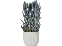 Elho Blumentopf Vibes Fold  Ø 30 cm Seidenweiß