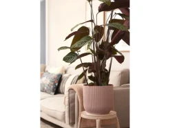 Elho Blumentopf Vibes Fold  Ø 30 cm Zartrosa