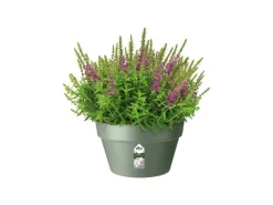 Elho Blumentopfschale Loft Urban Ø 35 cm x 20 cm Grün