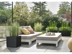Elho Pflanztopf Vivo Next 40 cm x 40 cm x 40 cm Living Black mit Rollen