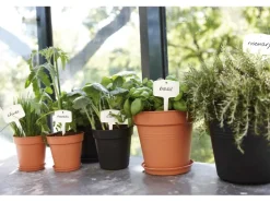 Elho Untersetzer Green Basics Ø 22 cm living schwarz