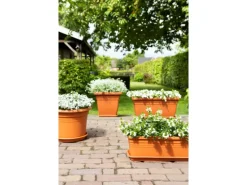Florus Pflanztopf Cilindro Ø 40 cm Terracotta