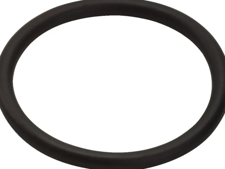 Hansgrohe O-Ring 34 x 3 mm