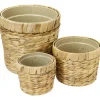 HMF 37280-14CM+19CM+25CM Innovativer Blumentopf Wasserhyazinthe Pflanztopf Rund 3 Größen