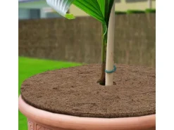 KARAT Mulchscheiben Kokos Pflanzenschutzmatte Winterschutz Kokosfaser 1 Stück Ø 20 cm