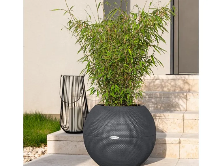 Lechuza® Übertopf Puro Schiefergrau Ø 50 cm integriertes Erdbewässerungssystem