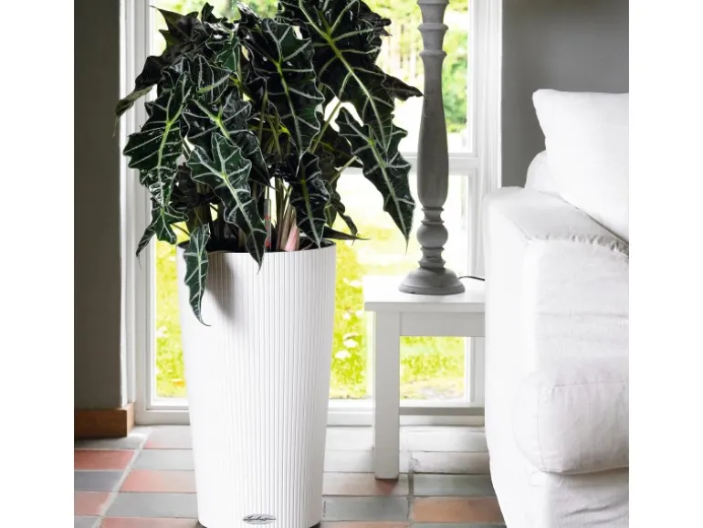 Lechuza® Pflanzgefäß Cilindro Color Ø 32 cm x 56 cm Weiß