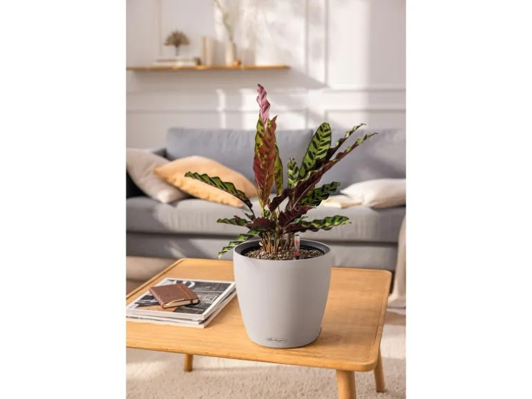 Lechuza® Pflanzgefäß Classico Color Ls 28 Sandbraun Ø 28 cm