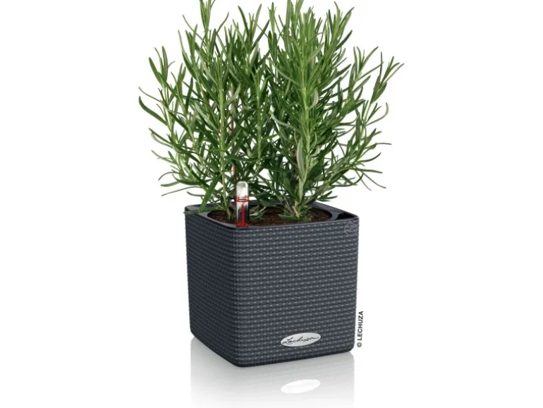 Lechuza® Pflanzgefäß Cube Color 14 Schiefergrau 14 cm x 14 cm