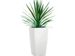 Lechuza® Pflanzgefäß Cubico Color 30 Weiß 30 cm x 30 cm