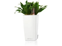 Lechuza® Pflanzgefäß Mini-Cubi Weiß hochglanz 10 cm x 10 cm