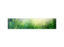 MySpotti Küchenrückwand Profix Cucina Farn 270 x 60 cm Farngrün