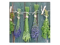 MySpotti Küchenrückwand Profix Cucina Kräuter Provence 160 x 60 cm Grün-Lila