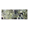 MySpotti Küchenrückwand Profix Cucina Olivenbaum 160 x 60 cm Blau-Grün