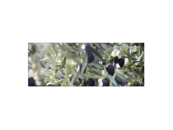 MySpotti Küchenrückwand Profix Cucina Olivenbaum 160 x 60 cm Blau-Grün