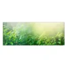 MySpotti Küchenrückwand Profix Cucina Farn 160 x 60 cm Farngrün