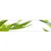 MySpotti Küchenrückwand Profix Cucina Dew Drop 270 x 60 cm Grasgrün