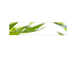 MySpotti Küchenrückwand Profix Cucina Dew Drop 270 x 60 cm Grasgrün