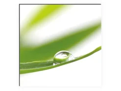 MySpotti Küchenrückwand Profix Cucina Dew Drop 270 x 60 cm Grasgrün