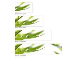 MySpotti Küchenrückwand Profix Cucina Dew Drop 270 x 60 cm Grasgrün