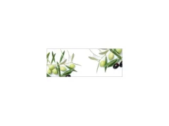 MySpotti Küchenrückwand Profix Cucina Olivenzweig 160 x 60 cm Olivgrün