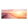 MySpotti Küchenrückwand Profix Cucina Provence 160 x 60 cm Lavendelviolett