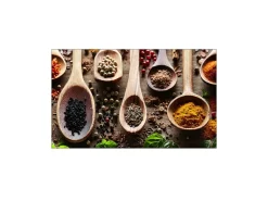 MySpotti Küchenrückwand Profix Cucina Spicy Kitchen 100 x 60 cm Bunt