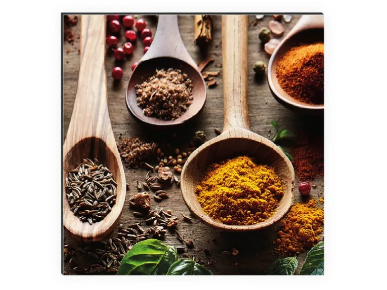 MySpotti Küchenrückwand Profix Cucina Spicy Kitchen 100 x 60 cm Bunt