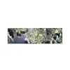 MySpotti Küchenrückwand Profix Cucina Olivenbaum 210 x 60 cm Violettfarben