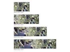 MySpotti Küchenrückwand Profix Cucina Olivenbaum 210 x 60 cm Violettfarben