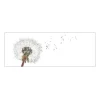 MySpotti Küchenrückwand Profix Cucina Dandelion 160 x 60 cm Weiß-Schwarz