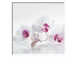 MySpotti Küchenrückwand Profix Cucina Orchidee 270 x 60 cm Lila-Weiß