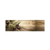 MySpotti Küchenrückwand Profix Cucina Mediterran 210 x 60 cm Braun-Grün