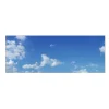 MySpotti Küchenrückwand Profix Cucina Himmel 160 x 60 cm Himmelblau