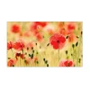 MySpotti Küchenrückwand Profix Cucina Mohnet 100 x 60 cm Mohnblüte
