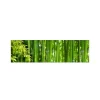 MySpotti Küchenrückwand Profix Cucina Bambus 210 x 60 cm Grasgrün