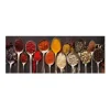 MySpotti Küchenrückwand Profix Cucina Piccante 160 x 60 cm Rot-Braun