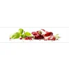 MySpotti Küchenrückwand Profix Cucina Herbs und Spice 270 x 60 cm Paprika