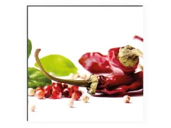 MySpotti Küchenrückwand Profix Cucina Herbs und Spice 270 x 60 cm Paprika