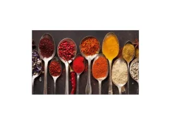 MySpotti Küchenrückwand Profix Cucina Piccante 100 x 60 cm Rot-Braun-Bunt