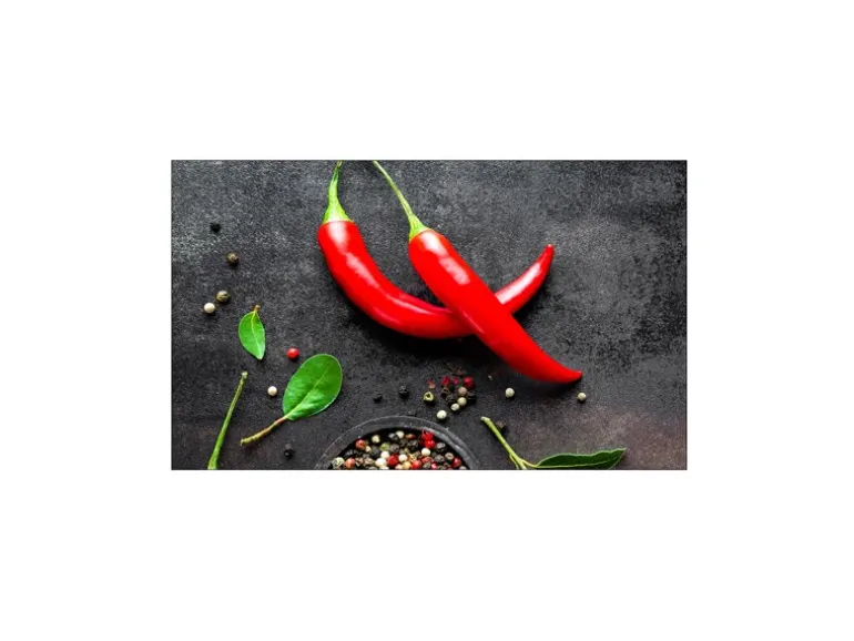 MySpotti Küchenrückwand Profix Cucina Hot Chilli 100 x 60 cm Rote Paprika