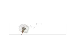 MySpotti Küchenrückwand Profix Cucina Dandelion 270 x 60 cm Weiß-Grau
