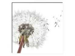 MySpotti Küchenrückwand Profix Cucina Dandelion 270 x 60 cm Weiß-Grau