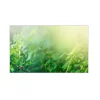 MySpotti Küchenrückwand Profix Cucina Farn 100 x 60 cm Grün